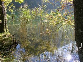 Bad Reichenhall 22102010 04mn.jpg