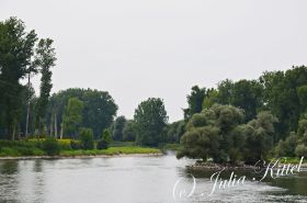 Donau bei Deggendorf kmn.jpg