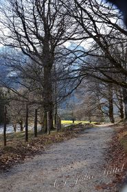 DSC_0177 (2) mn.jpg