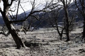 Hintersee 1 mn (1).jpg